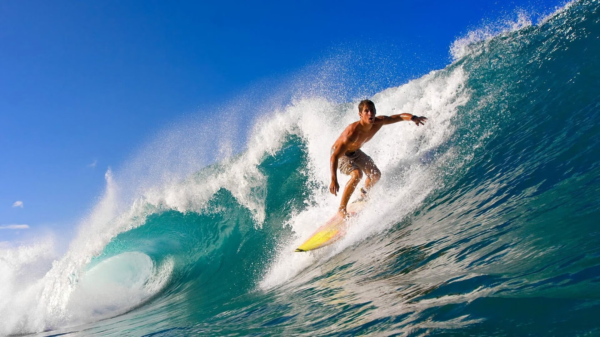 王座之役，阿拉巴与命运的对决，F1年度争冠之夜上演惊天逆转
